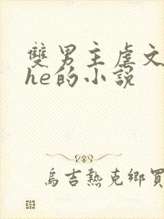 双男主虐文结局he的小说