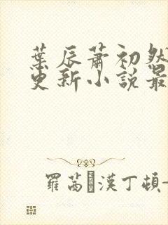 叶辰萧初然最快更新小说最新