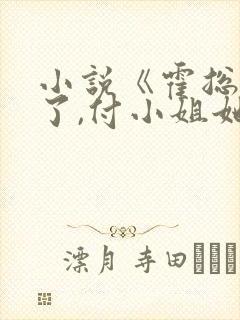 小说《霍总别虐了,付小姐她又去相亲了》