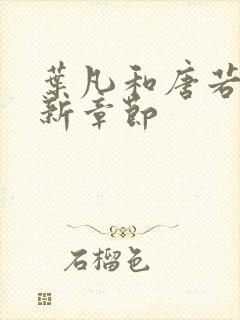 叶凡和唐若雪最新章节