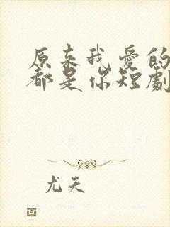 原来我爱的从来都是你短剧免费观看