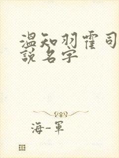 温知羽霍司砚小说名字