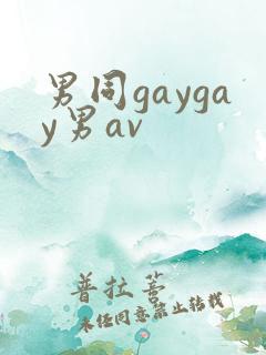 男同gaygay男av