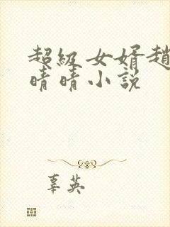 超级女婿赵旭李晴晴小说