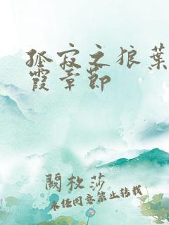 孤寂之狼叶凡吴霞章节