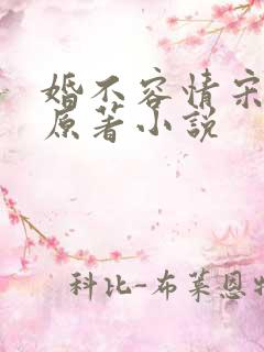 婚不容情宋书桐原著小说