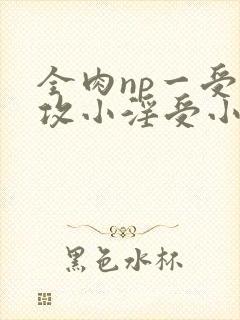 全肉np一受多攻小淫受小说