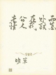 老公在外面有了情人我该怎么办