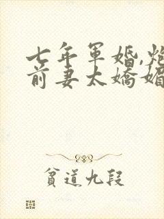 七年军婚,炮灰前妻太娇媚