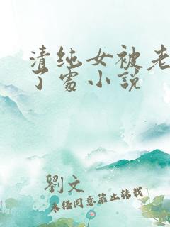 清纯女被老板开了处小说