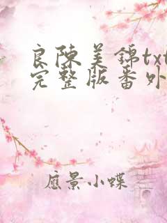 良陈美锦txt完整版番外