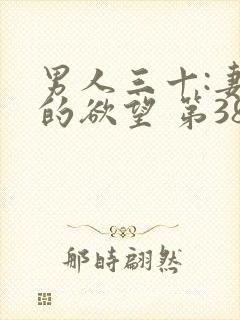 男人三十:妻子的欲望 第384章