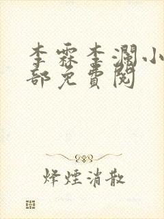 李霖李澜小说全部免费阅