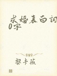 求婚表白词200字