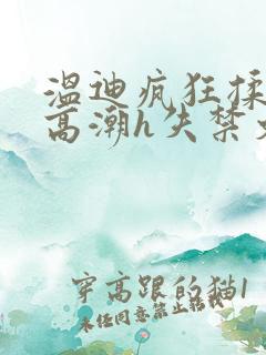 温迪疯狂揉肉蒂高潮h失禁文