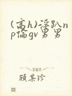 (高h)淫趴np伦gv男男