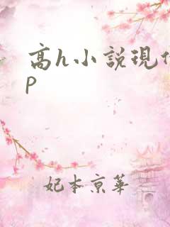 高h小说现代np