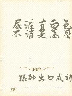 尿液有白色泡沫不消是怎么回事