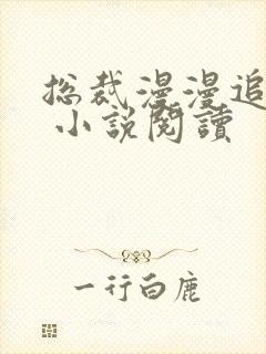 总裁漫漫追妻路 小说阅读