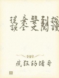 从弃婴到总裁小说全文阅读