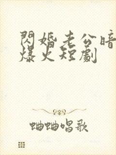 闪婚老公暗恋我爆火短剧