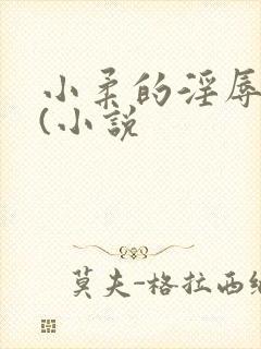 小柔的淫辱日记(小说