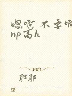嗯啊 不要啊 np高h