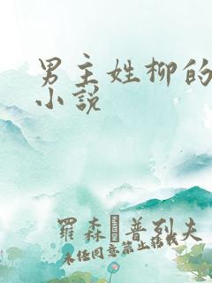 男主姓柳的玄幻小说