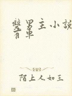 双男主小说推荐有车