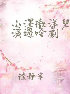 小泽彻洋儿媳妇演过啥剧