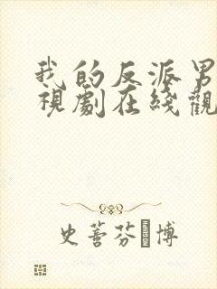 我的反派男友电视剧在线观看高清完整免费