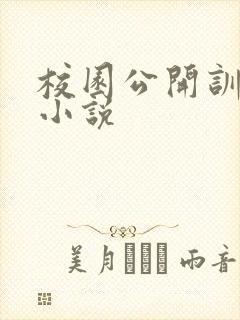 校园公开训诫文小说