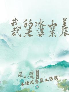 我的冰山美女总裁老婆叶辰