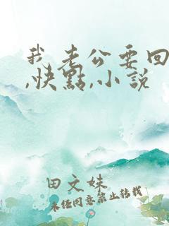 我老公要回来了,快点,小说