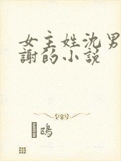 女主姓沈男主姓谢的小说