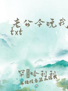 老公今晚我加班txt