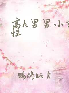 高h男男小说双性