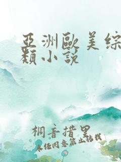 亚洲欧美综合另类小说