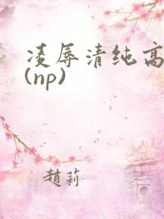 凌辱清纯高中生(np)