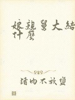 娘亲舅大结局是什么