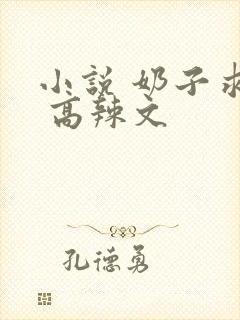 小说 奶子求操 高辣文