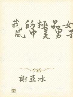 我的极品女总裁 风中美男子