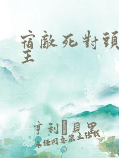 宿敌死对头双男主