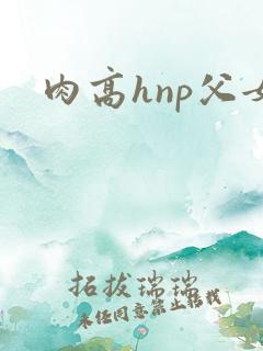 肉高hnp父女