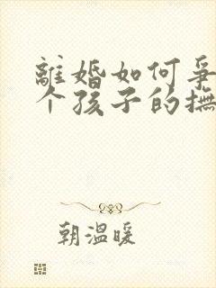 离婚如何争取2个孩子的抚养权