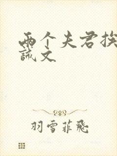 两个夫君挨打训诫文