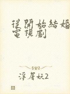 从开始结婚恋爱电视剧