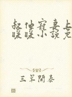 叔他宠妻上瘾古暖暖小说免费阅