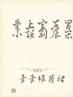 爱上室友男朋友小说荆辰宋吟