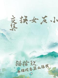 交换女友小说合集